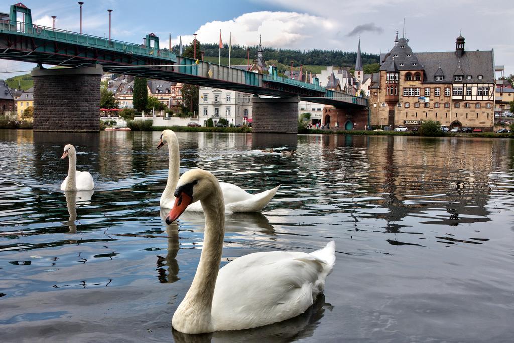 Zimmer Am Markt Traben-Trarbach Esterno foto